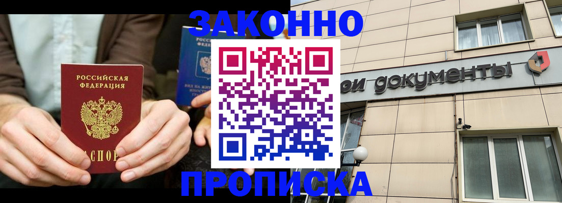 прописка поиск в Палласовке