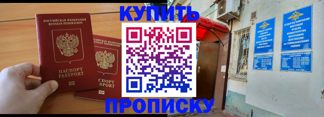 прописка штамп в Палласовке
